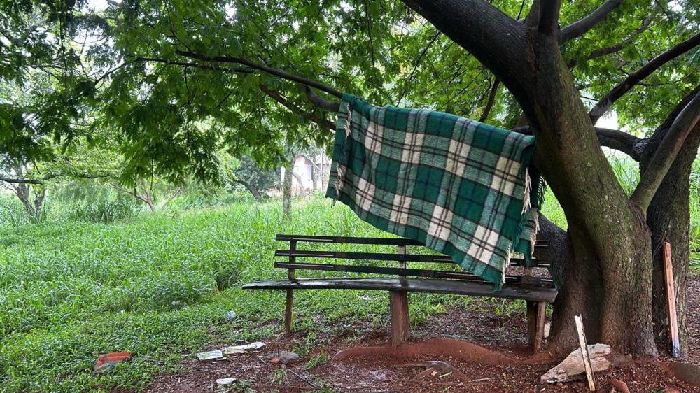 Moradores pedem maior cuidado ambiental: “O mato está muito alto, os bichos vêm para as nossas casas, precisamos de mais fiscalização”