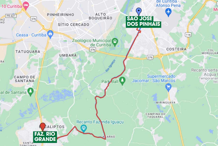 Foto: Reprodução/Secom Paraná