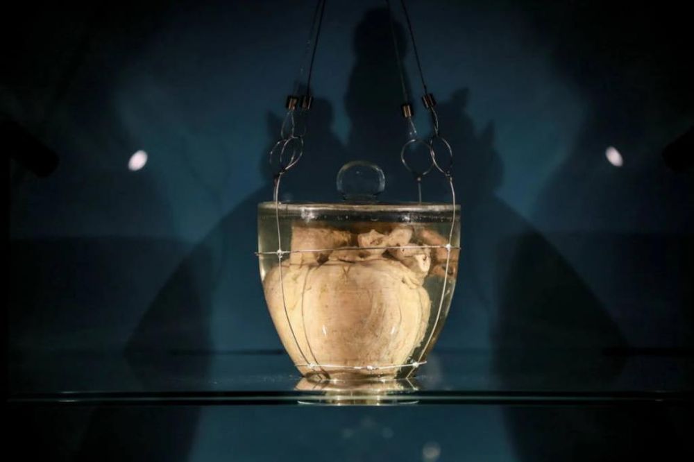 coração mumificado de dom pedro I