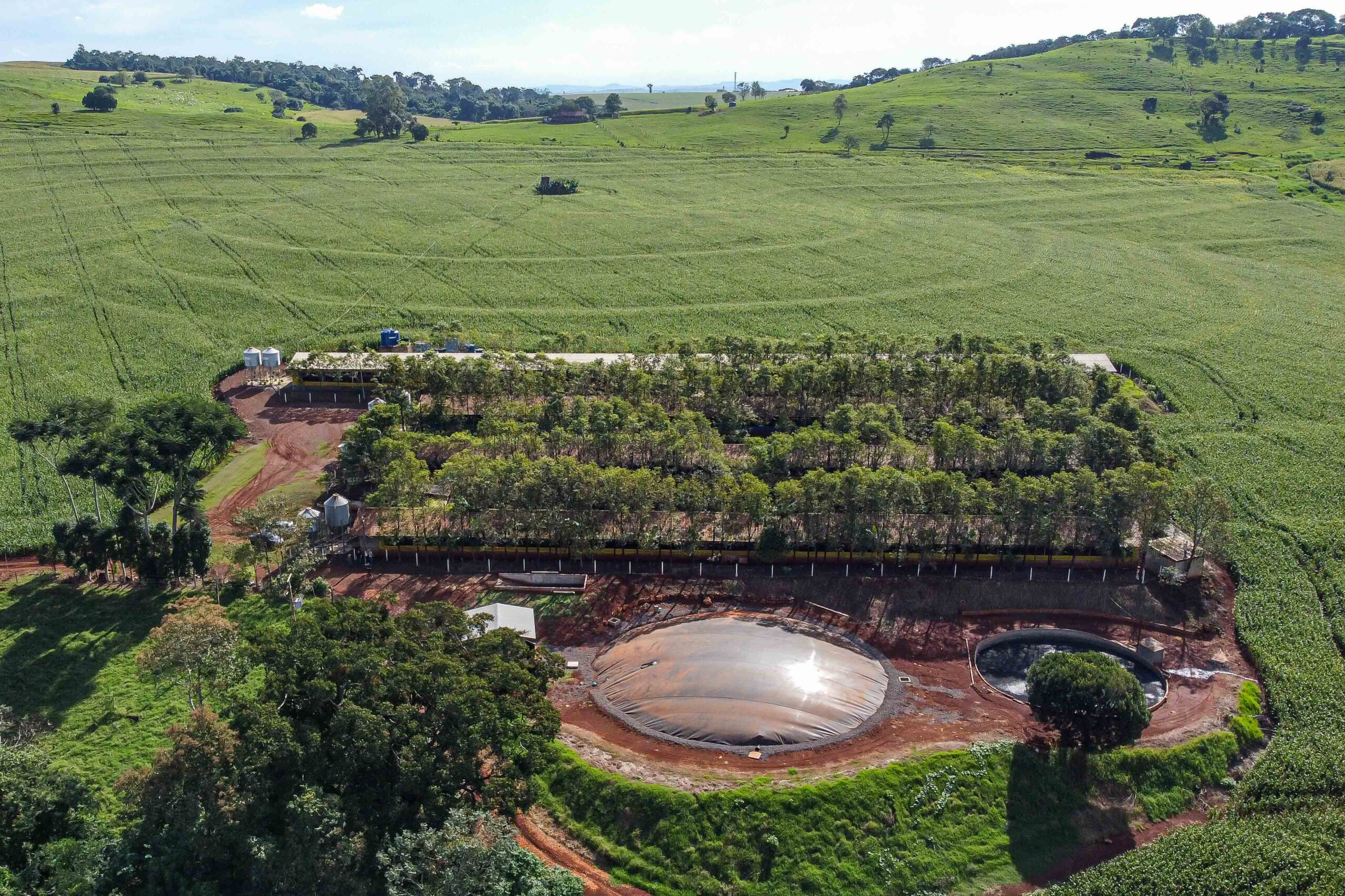 Foto: Reprodução/Secom Paraná