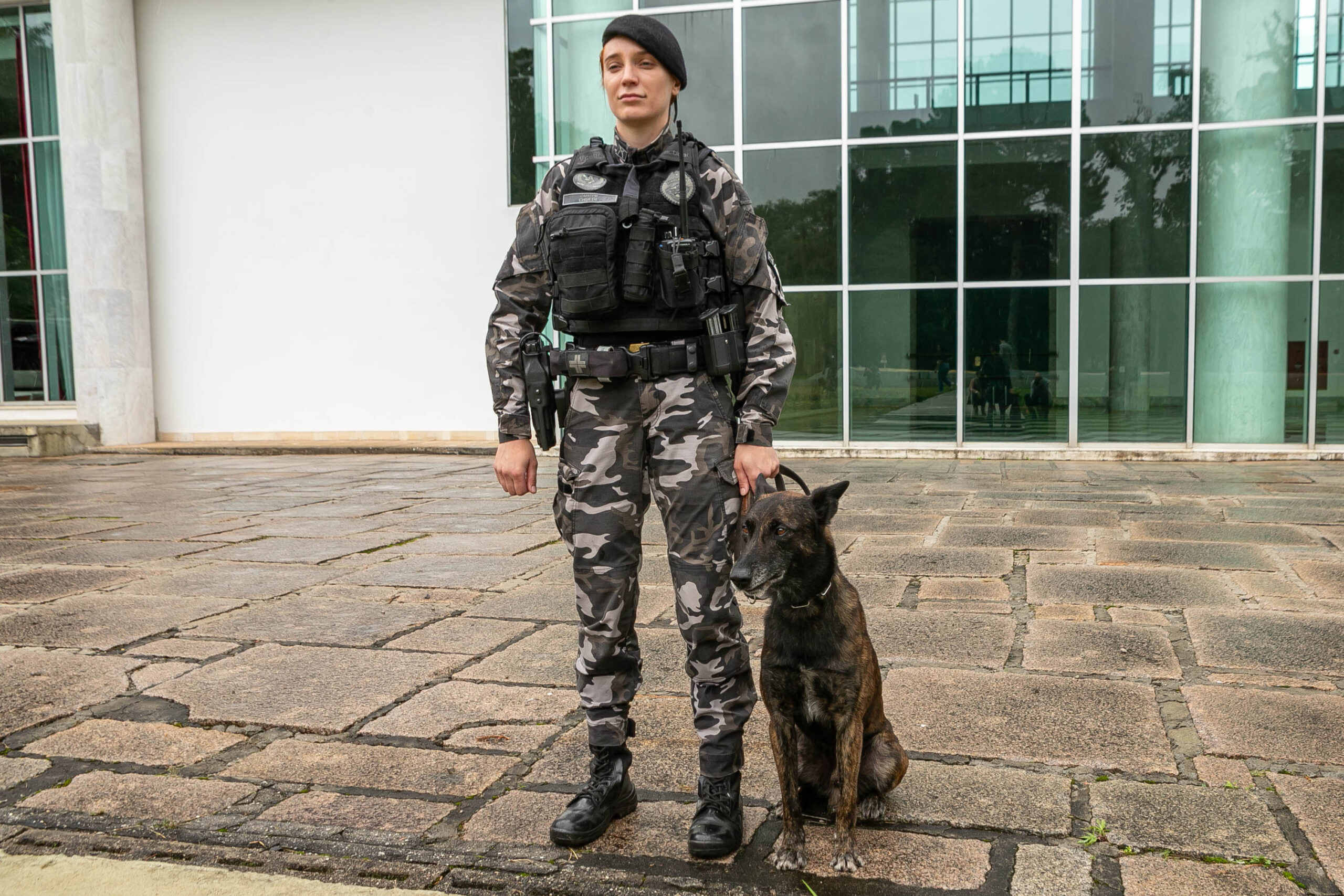 Foto: Reprodução/Secom Paraná