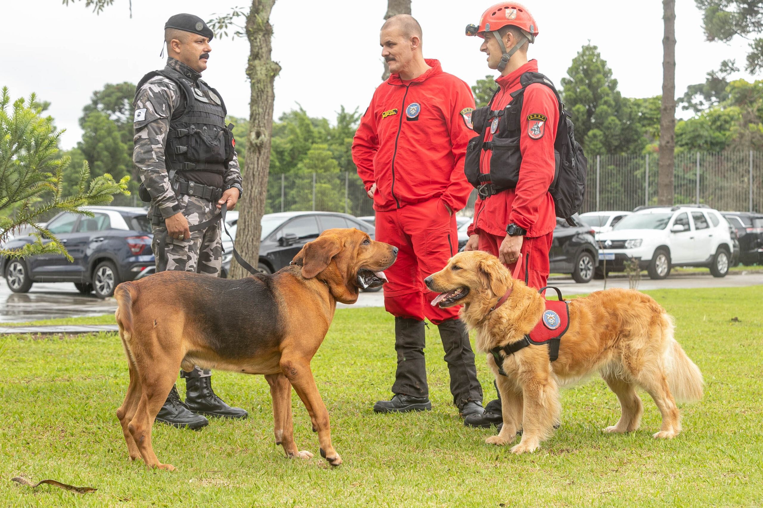 Foto: Reprodução/Secom Paraná