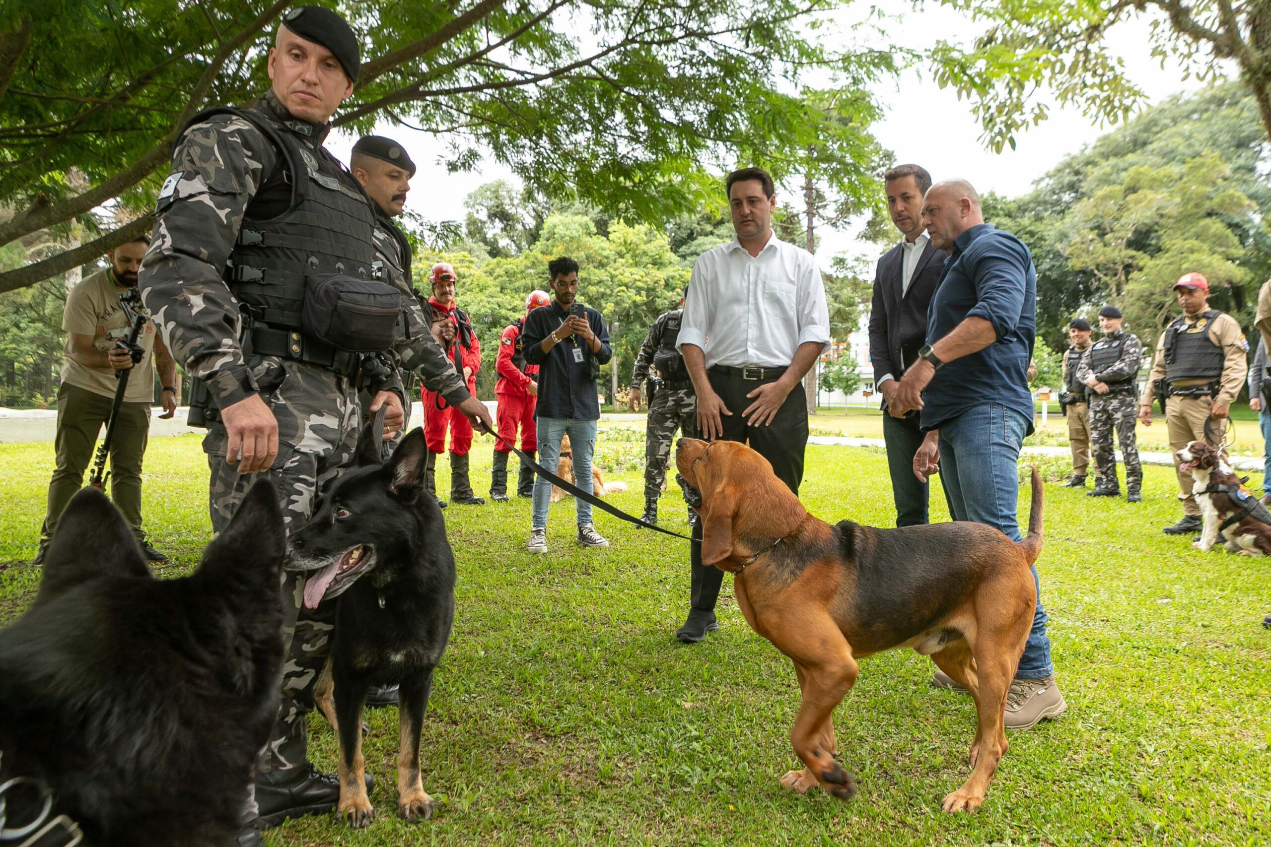 Foto: Reprodução/Secom Paraná