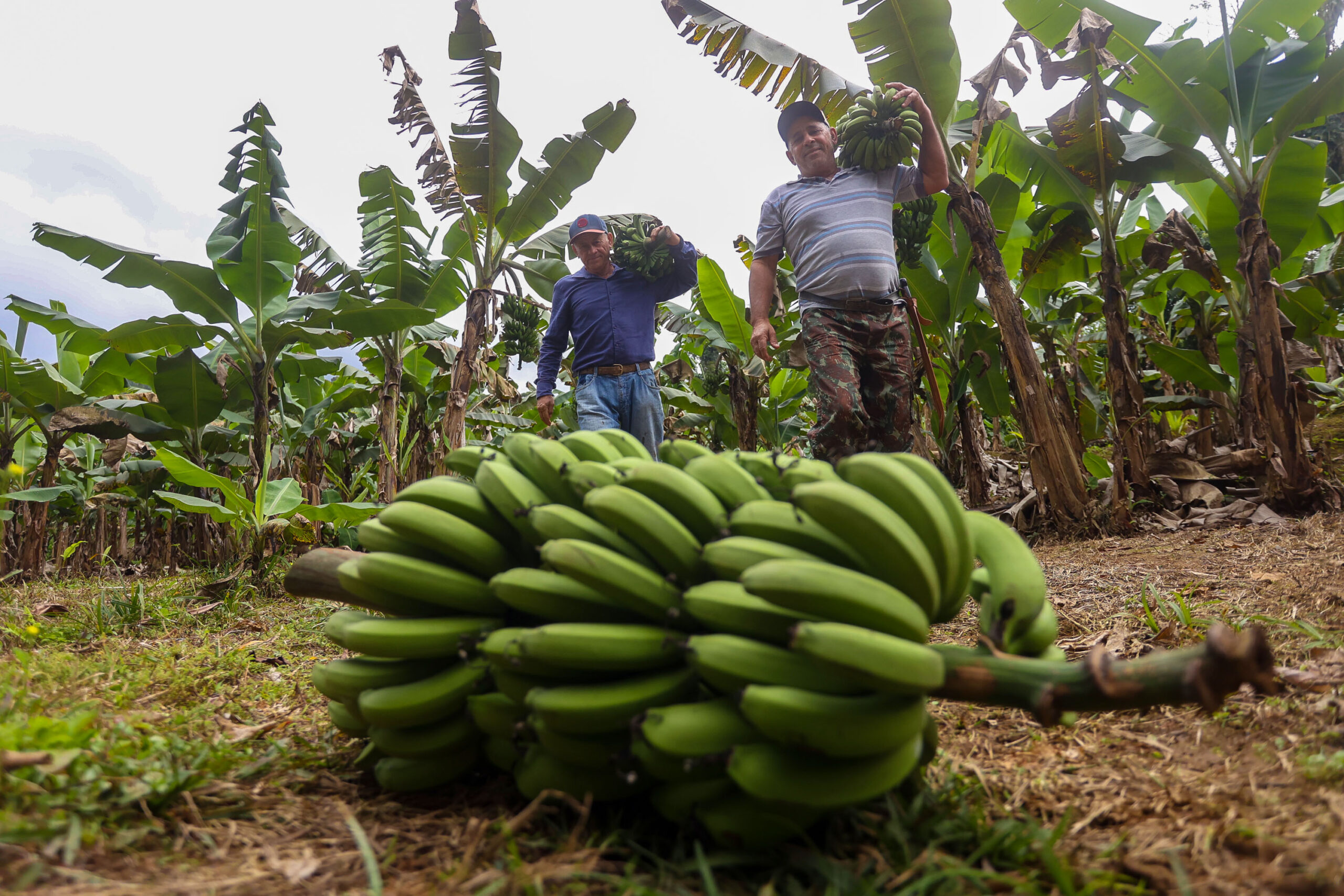 Foto: Reprodução/Secom Paraná