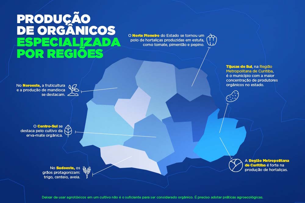 Foto: Reprodução/Secom Paraná